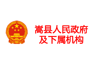 嵩县人民政府及下属机构